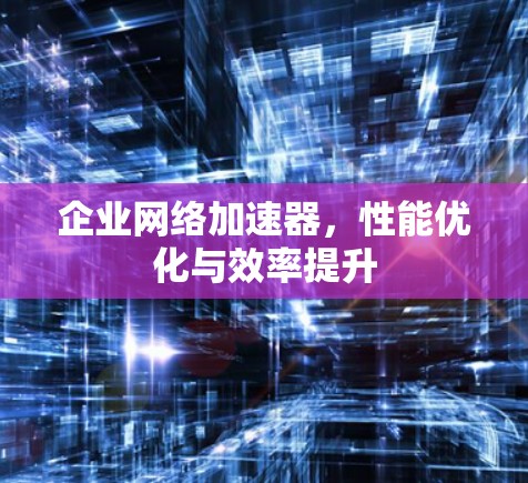 企业网络加速器，性能优化与效率提升