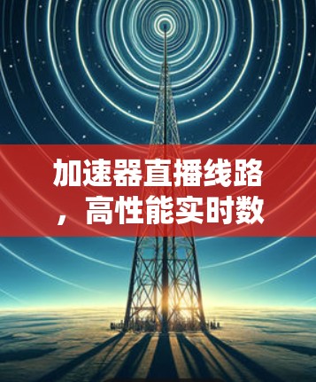 加速器直播线路,高性能实时数据传输与处理技术分析