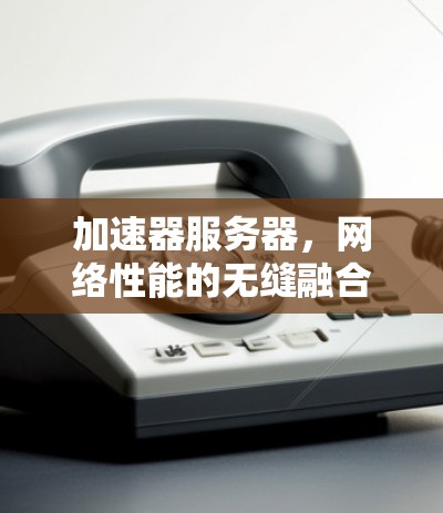 加速器服务器,网络性能的无缝融合 加速器服务器,网络性能的无缝融合