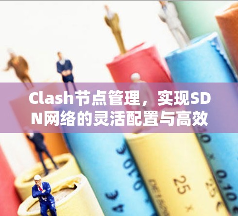 Clash节点管理,实现SDN网络的灵活配置与高效管理