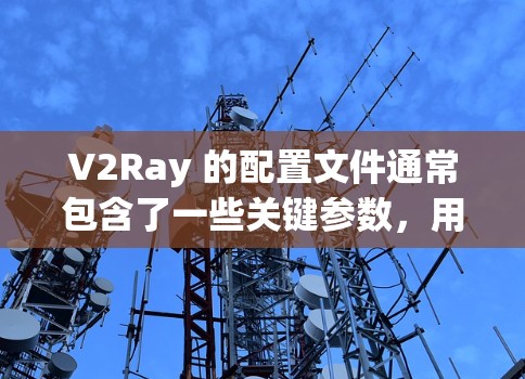 V2Ray 的配置文件通常包含了一些关键参数,用于设置代理服务器、加密方式、域名白名单等。以下是一个典型的 V2Ray 配置文件示例