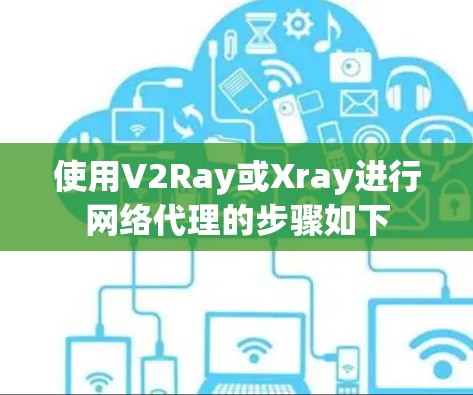 使用V2Ray或Xray进行网络代理的步骤如下