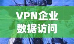 VPN企业数据访问监控是企业保护数据安全和合规的重要措施。以下是对该过程的详细分析和总结