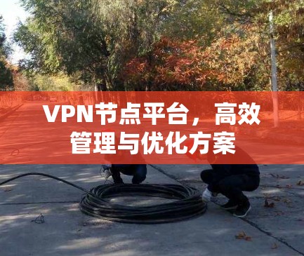 VPN节点平台，高效管理与优化方案