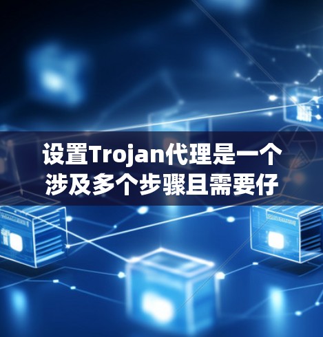 设置Trojan代理是一个涉及多个步骤且需要仔细配置的过程，下面是详细的步骤指南