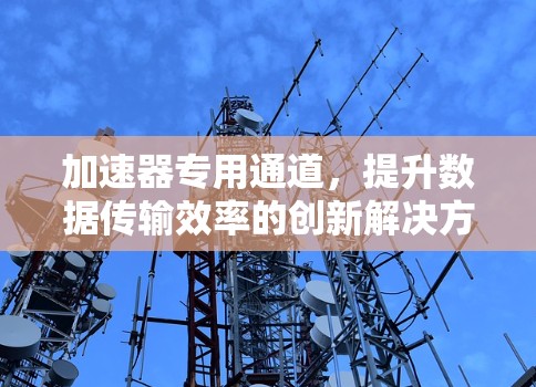 加速器专用通道，提升数据传输效率的创新解决方案