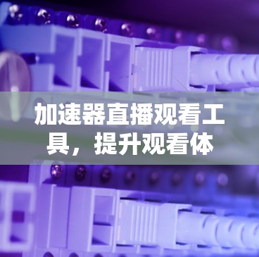 加速器直播观看工具，提升观看体验的技术助力