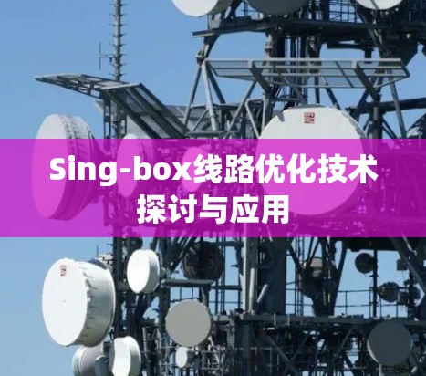 Sing-box线路优化技术探讨与应用