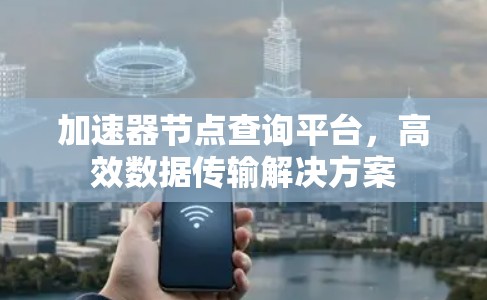 加速器节点查询平台,高效数据传输解决方案 加速器节点查询平台,高效数据传输解决方案
