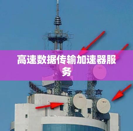 高速数据传输加速器服务 高速数据传输加速器服务